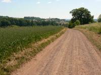 Kostelecko od letiště