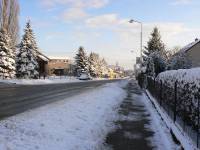 1/12 u zemědělského družstva