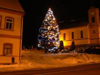 27.1.12 vánoční strom1