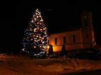 27.1.12 vánoční strom2