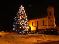 27.1.12 vánoční strom3