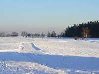 2/12 tratě suché louky