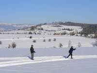 2/12 tratě u letiště