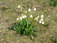 3/12-jaro přichází