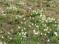 3/12-jaro u sousedů1