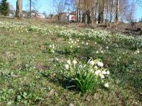 3/12-jarou sousedů3