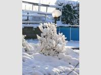 12/12-zima 1.12.12 zahrada1