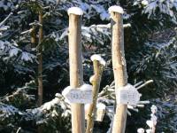 12/12-zima1.12.12 zahrada3