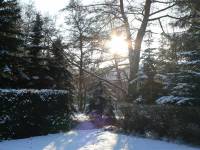 25.1.2014-zimní slunce