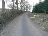 23.2.14-cesta úvozem