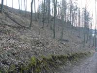 23.2.14-arboretum nové01