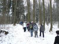 cesta3