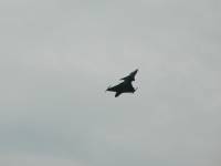 Gripen