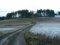 22.11.2015-01 prvni snih