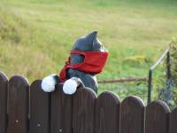 Covid-Studenec 11/20