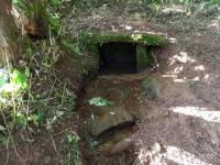 Studánka detail 26/6/21