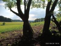 Studánka-výhled26/6/21